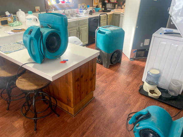 Best Water damage cleanup near me  in Villas, NJ