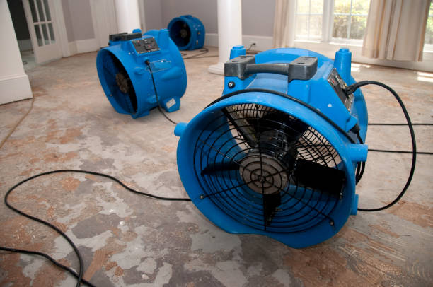 Best Basement water damage restoration  in Villas, NJ